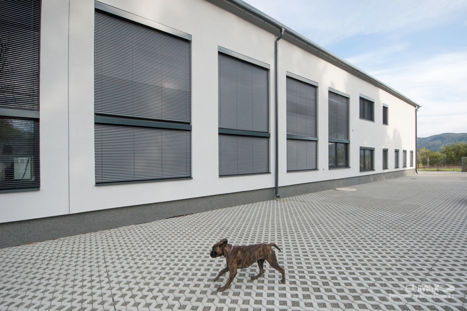 Außenjalousien T80 Galerie